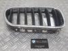 Grille from a BMW X3 2013