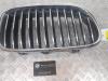Grille from a BMW 5-Serie 2016