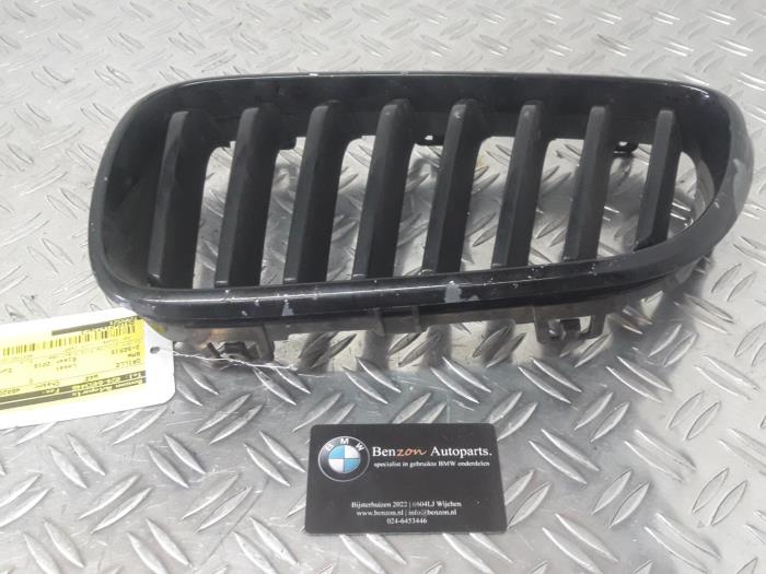 Grille from a BMW 2-Serie 2016