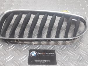 Usados Rejilla BMW Z4 Precio de solicitud ofrecido por Benzon Autodemontage