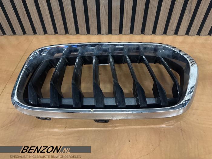 Używane Grill BMW X2 (F39) Cena € 50,00 Procedura marży oferowane przez Benzon Autodemontage