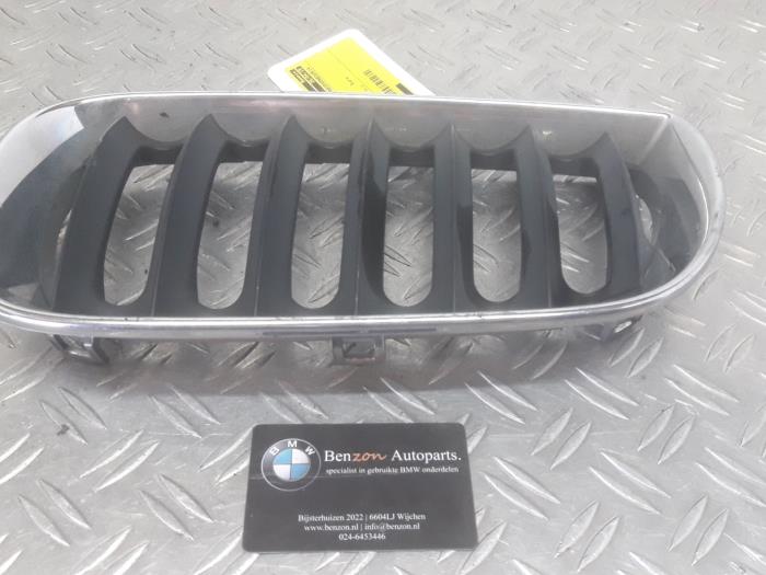 Grille from a BMW X3 2004