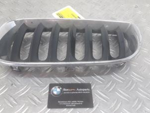 Gebrauchte Grill BMW X3 Preis auf Anfrage angeboten von Benzon Autodemontage