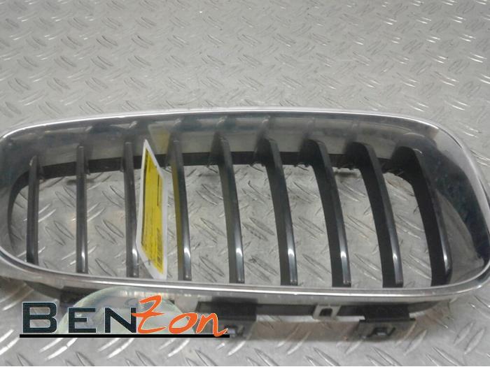 Grille from a BMW 3-Serie 2014