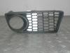 Grille from a BMW 1-Serie 2013