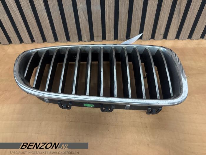 Używane Grill BMW 5-Serie Cena € 25,00 Procedura marży oferowane przez Benzon Autodemontage