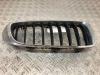 Grille from a BMW 4-Serie 2016