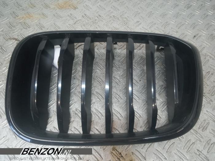 Używane Grill BMW X3 (G01) xDrive 20d 2.0 TwinPower Turbo 16V Cena na żądanie oferowane przez Benzon Autodemontage
