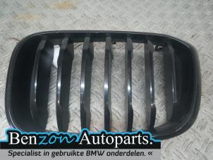 Used Grille BMW X3 (G01) xDrive 20d 2.0 TwinPower Turbo 16V Price on request offered by Benzon Autodemontage
