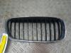 Grille from a BMW 3-Serie 2012
