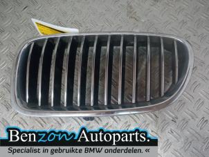 Used Grille BMW 5 serie (F10) 530i 24V Price on request offered by Benzon Autodemontage