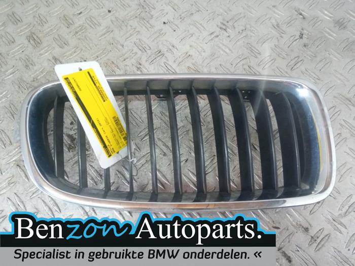 Grille from a BMW 3 serie (F30) 320d 2.0 16V EfficientDynamicsEdition 2012