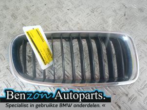 Used Grille BMW 3 serie (F30) 320d 2.0 16V EfficientDynamicsEdition Price on request offered by Benzon Autodemontage