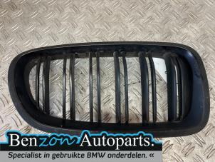 Used Grille BMW 5 serie (F10) 520d 16V Price on request offered by Benzon Autodemontage