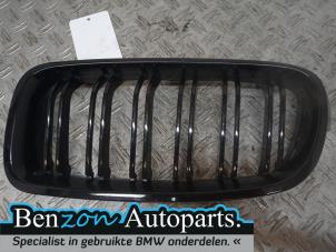 Used Grille BMW 3 serie (F30) 320d 2.0 16V EfficientDynamicsEdition Price on request offered by Benzon Autodemontage
