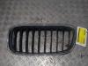 Grille from a BMW 2 serie Active Tourer (F45), 2013 / 2021 218d 2.0 TwinPower Turbo 16V, MPV, Diesel, 1.995cc, 110kW (150pk), FWD, B47C20A; B47C20B, 2013-11 / 2021-10 2015