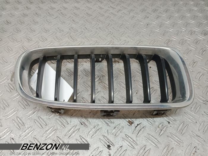 Używane Grill BMW 3 serie Touring (F31) 318d 2.0 16V Cena na żądanie oferowane przez Benzon Autodemontage
