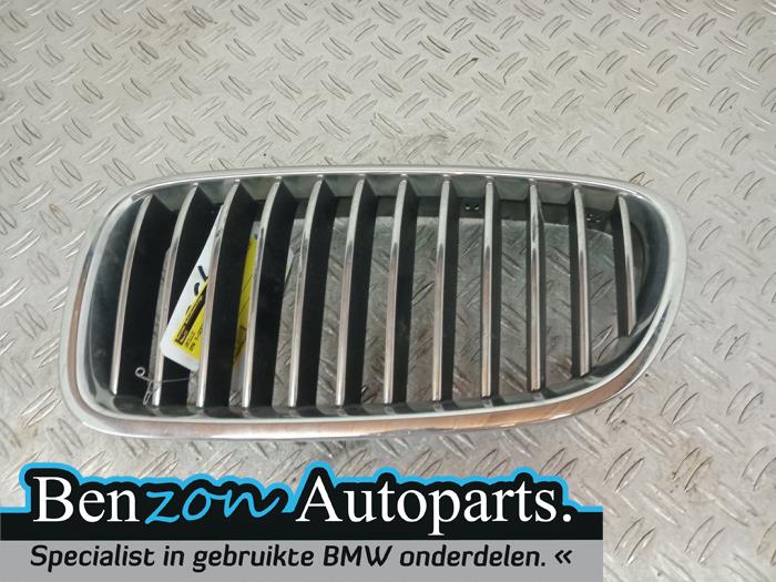 Grille from a BMW 5 serie (F10) 520d 16V 2011