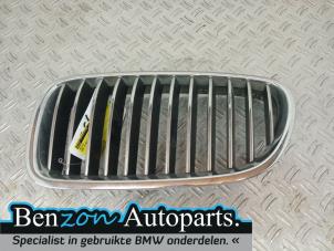 Used Grille BMW 5 serie (F10) 520d 16V Price € 30,25 Inclusive VAT offered by Benzon Autodemontage