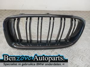 Used Grille BMW 3 serie (F30) 320d xDrive 2.0 16V Price € 42,35 Inclusive VAT offered by Benzon Autodemontage
