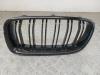 BMW 3 serie (F30) 320d xDrive 2.0 16V Grille