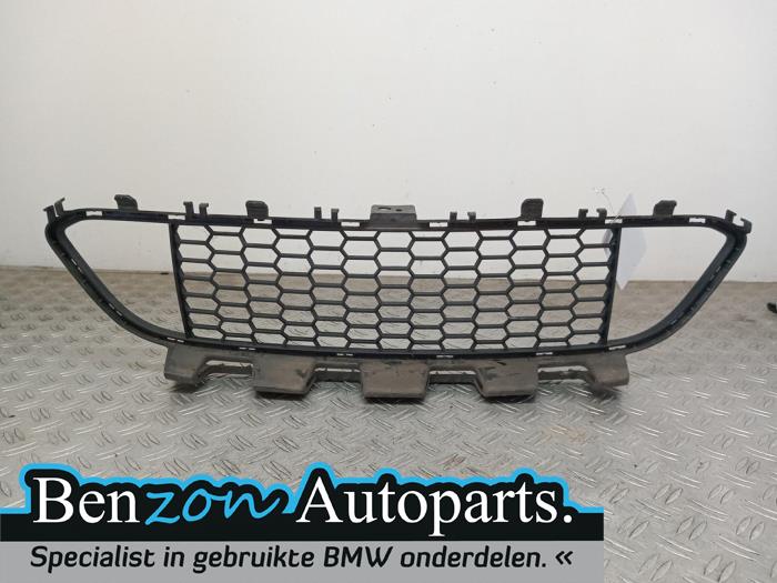Bumper grille from a BMW 3 serie (F30) 320d xDrive 2.0 16V 2014