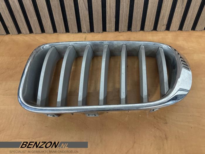 Używane Grill BMW X3 (F25) xDrive30d 24V Cena € 29,99 Procedura marży oferowane przez Benzon Autodemontage