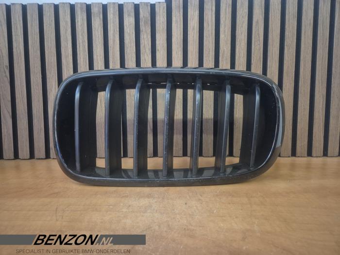 Używane Grill BMW X5 (F15) xDrive 40e 2.0 Cena € 49,99 Procedura marży oferowane przez Benzon Autodemontage
