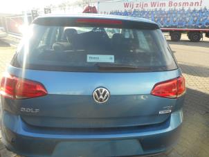 Used Tailgate Volkswagen Golf Price on request offered by Benzon Autodemontage