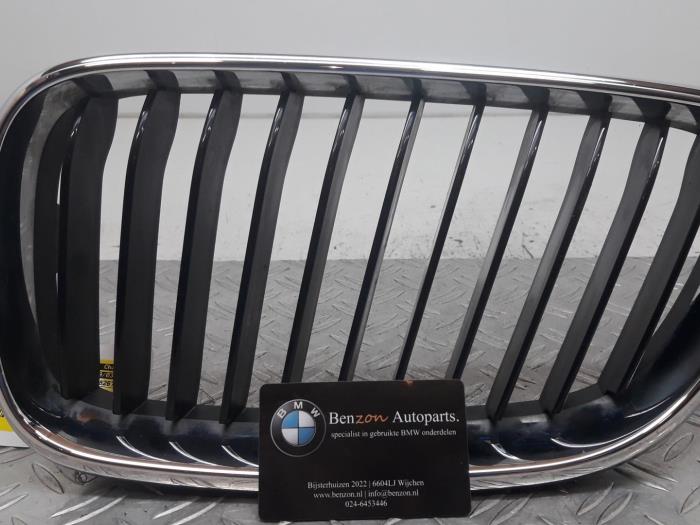 Grille from a BMW 2-Serie 2014