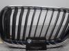 Grille from a BMW 2-Serie 2014