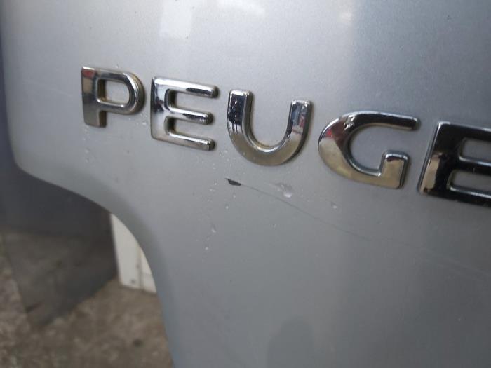 Tailgate from a Peugeot Partner 1.1 2002