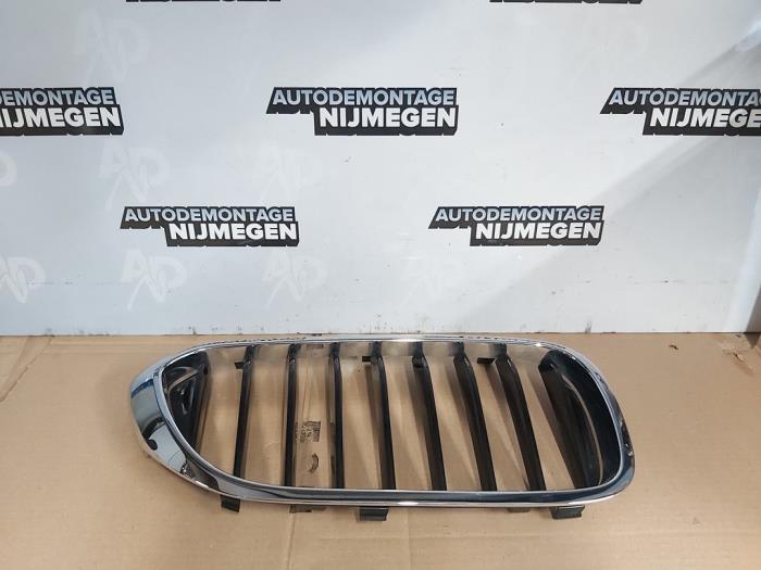 Nya Grill BMW 5 serie (G30) 518d 2.0 TwinPower Turbo 16V Mild Hybrid Pris på förfrågan erbjuds av Autodemontage Nijmegen