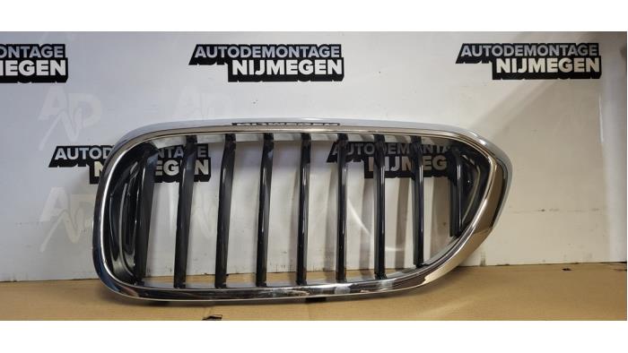 Nya Grill BMW B5 (G30) 4.4 V8 32V Bi-Turbo Pris på förfrågan erbjuds av Autodemontage Nijmegen
