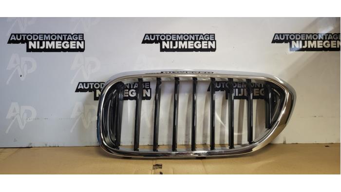 Nya Grill BMW 5 serie (G30) 520d 2.0 16V TwinPower Turbo EDE Pris på förfrågan erbjuds av Autodemontage Nijmegen