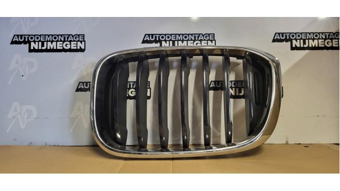 Nowe Grill BMW X3 (G01) sDrive 20i 1.6 TwinPower Turbo 16V Cena na żądanie oferowane przez Autodemontage Nijmegen