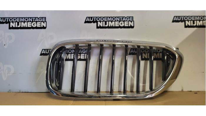 Nya Grill BMW 5 serie (G30) 520d 2.0 16V TwinPower Turbo EDE Pris på förfrågan erbjuds av Autodemontage Nijmegen