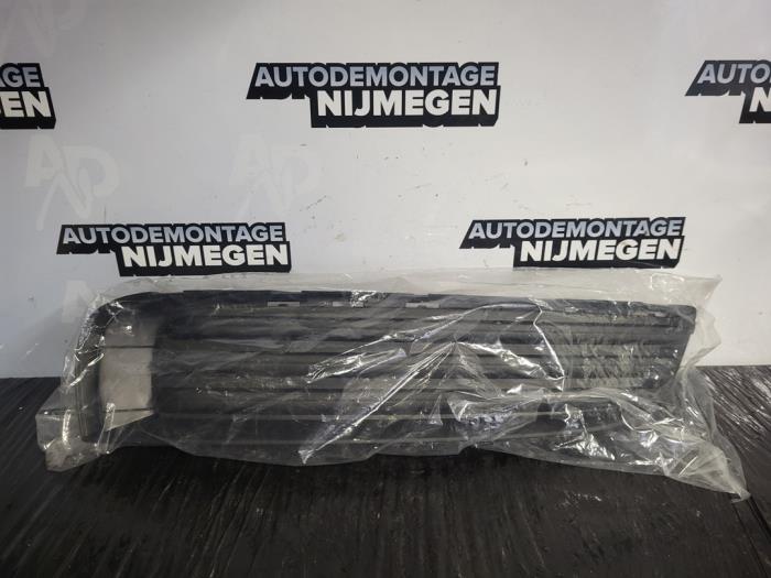Bumper grille from a Opel Insignia 1.8 16V Ecotec 2015