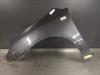 Front wing, left from a Kia Carens III (FG) 2.0i CVVT 16V 2007