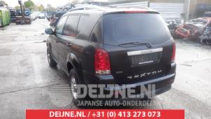 Used Extra window 4-door, left Ssang Yong Rexton 2.7 Xdi RX/RJ 270 16V Price on request offered by V.Deijne Jap.Auto-onderdelen BV