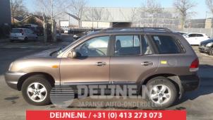 Used Rear door window 4-door, left Hyundai Santa Fe I 2.0 CRDi 16V 4x4 Price on request offered by V.Deijne Jap.Auto-onderdelen BV