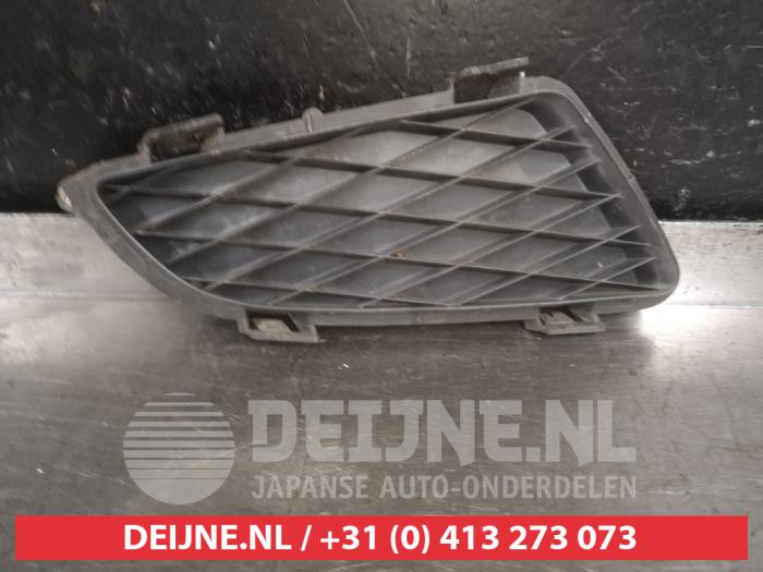 Front bumper lower grill