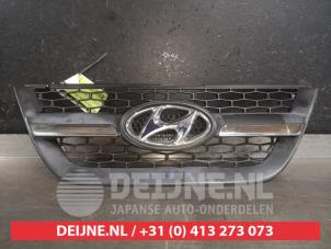 Used Grille Hyundai Atos 1.1 12V Price € 35,00 Margin scheme offered by V.Deijne Jap.Auto-onderdelen BV