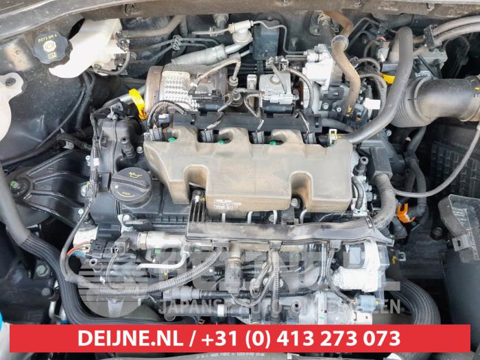 Olio Motore Per KIA Sportage III (SL) 1.7 CRDi 116 CV » Prezzi Bassi - Foto 5