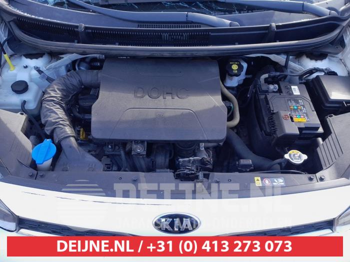 Engine Kia Picanto (JA), 2017 1.0 12V, Hatchback, Petrol, 998cc, 49kW (67pk), FWD, G3LA, 2017-03, JAF4P1; JAF4P2; JAF5P1; JAF5P2 (Used)