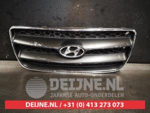 Used Grille Hyundai Santa Fe II (CM) 2.7 V6 24V 4x4 Price € 50,00 Margin scheme offered by V.Deijne Jap.Auto-onderdelen BV