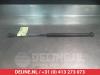 Mazda 3 Sport (BK) 1.3i 16V Gasdämpfer rechts hinten