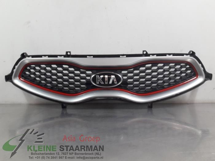 Grille from a Kia Picanto (TA) 1.0 12V 2014