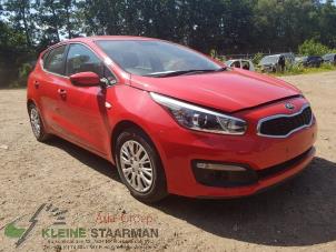 Used Style, right Kia Cee'd (JDB5) 1.4i 16V Price on request offered by Kleine Staarman B.V. Autodemontage