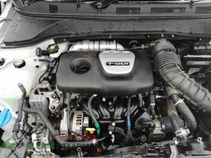 Usagé Cache sous moteur Hyundai Kona (OS) 1.6 T-GDI 16V AWD Prix sur demande proposé par Kleine Staarman B.V. Autodemontage